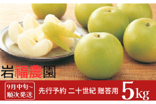 先行予約 和梨 二十世紀 5kg [9月中旬～順次発送予定] 新潟県産 梨  [岩福農園] 【010P056】