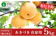 先行予約 和梨 あきづき 自家用 約5kg [9月中旬から発送予定] 令和7年度 新潟フルーツ 新潟県産 梨 [三条果樹専門家集団]【010P063】