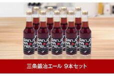 新潟ご当地サイダー 三条鍛冶エール（ジンジャエール） 9本 [三条果樹専門家集団] 【010P070】