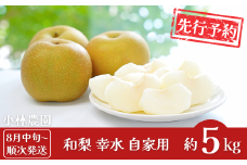 先行予約 和梨 幸水 自家用 約5kg [8月中旬から発送予定]令和7年度 新潟県 三条市産 梨 [小林農園]【010P078】