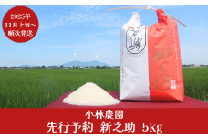 先行予約 新米 新之助 5kg 新潟県産 令和7年産 2025年産 新之助（しんのすけ）令和7年度 [小林農園]  【010P079】