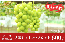 先行予約 大房シャインマスカット 約600g（1房）[8月下旬から発送予定] 令和7年度 新潟県 三条市産 ぶどう [小林農園] 10000円以下 1万円以下【010P080】