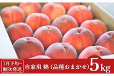 先行予約 桃 自家用 約5kg (11～18個入)  [2025年発送分] 令和7年産 新潟フルーツ 新潟県産桃 [石田フルーツガーデン] 【011P012】