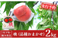 先行予約 桃 約2kg (6個入) [2025年発送分] 令和7年産 新潟フルーツ 新潟県産桃 [石田フルーツガーデン]【011P011】