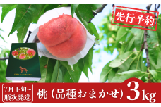 先行予約 桃 約3kg (9～11個入) [2025年発送分] 令和7年産 新潟フルーツ 新潟県産桃  [石田フルーツガーデン] 【015P058】