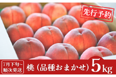 先行予約 桃 約5kg (13～18個入) [2025年発送分] 令和7年産 新潟フルーツ 新潟県産桃 [石田フルーツガーデン] 【017P021】