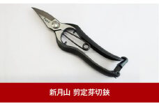 剪定芽切鋏 剪定鋏 園芸刃物 プロ仕様 最高峰 果樹園から好評 園芸用品 燕三条製 [新月山] 【020P094】