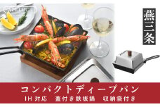 [APELUCA] IH対応 コンパクトディープパン 蓋付き COMPACT DEEP PAN【022P011】