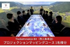 Tsubamesanjo Bit 燕三条本店 プロジェクションマッピングコース１名様 【067S001】
