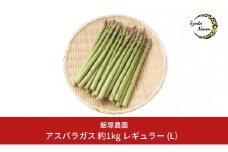 アスパラガス レギュラー 約1kg[2025年5月頃から順次発送予定] 令和7年産  [飯塚農園] 【011S019】