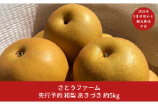 先行予約 和梨 あきづき 5kg [9月中旬から発送予定] 令和7年度 新潟県産 梨 [さとうファーム] 【014S011】