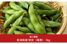 新潟県産 枝豆 3kg [2025年発送分]令和7年産 朝採りをお届け 枝豆（陽恵） [堀川農園]【030S009】