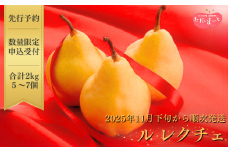 【2025年産先行予約】 ル レクチエ 2kg（5～7個）[11月下旬から発送予定] 令和7年度 洋梨 新潟県産 ル・レクチェ 洋梨の貴婦人 [JAえちご中越]【010S139】
