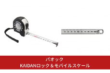 SK 快段目盛 [KAIDAN]ロックGuard コンベックス(メジャー) ＆ モバイルスケール快段目盛 5.0m 大工道具 【014S031】