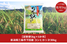 [定期便 5kg×6か月] コシヒカリ 新潟県三条市下田産 こしひかり 計30kg 令和6年産米 6か月連続でお届け [JAえちご中越]【043S005】