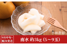 先行予約 和梨 南水 約3kg [9月中旬から発送予定] 令和7年度 新潟県産 梨 [小林農園] 【012S040】