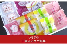 三条ふるさと銘菓 8種×各2個 計16個 詰合せ 菓子 スイーツ 詰め合わせ  [つるがや]【010S212】