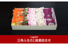 三条ふるさと銘菓 5種×各5個 計25個 詰合せ 菓子 スイーツ 詰め合わせ  [つるがや]【015S076】