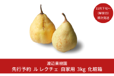 先行予約 ル レクチェ 自家用 3kg（6〜10玉）[11月下旬から発送予定] 令和7年度 西洋梨 ル レクチエ 洋梨 化粧箱 洋ナシ ル・レクチェ [渡辺果樹園] 【014S042】