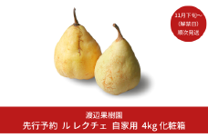 先行予約 ル レクチェ 自家用 4kg（10〜14玉）[11月下旬から発送予定] 令和7年度 西洋梨 ル レクチエ 洋梨 化粧箱 洋ナシ ル・レクチェ [渡辺果樹園] 【018S021】