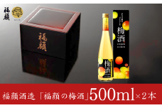 ふたつの梅をブレンドした「福顔の梅酒」500ml×2本セット 梅酒 リキュール [福顔酒造] 10000円以下 1万円以下 【010S241】