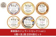果樹園のジェラートセレクトvol.1 [6種×各1個] 合計6個セット ジェラート詰合せ アイス詰合せ [田沢農園]  【010S247】