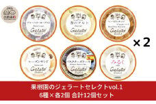 果樹園のジェラートセレクトvol.1 [6種×各2個] 合計12個セット ジェラート詰合せ アイス詰合せ [田沢農園] 【019S036】