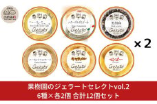 果樹園のジェラートセレクトvol.2 [6種×各2個] 合計12個セット ジェラート詰合せ アイス詰合せ [田沢農園] 【019S037】