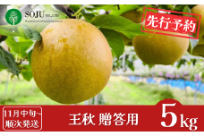 先行予約 和梨 王秋 約5kg [11月中旬から発送予定] 令和7年度 贈答用 新潟県 三条市産 [三条果樹専門家集団]  【016S027】