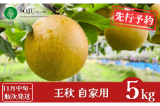先行予約 和梨 王秋 自家用 約5kg [11月中旬から発送予定] 令和7年度 新潟県 三条市産 [三条果樹専門家集団]  【010S261】