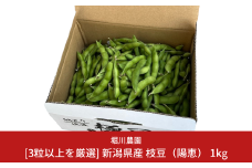 [3粒以上を厳選] 新潟県産 枝豆（陽恵） 1kg [2025年発送分] 令和7年産 朝採りをお届け 枝豆 [堀川農園] 【017S023】
