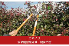 [カネノリ] 安来鋼付葉刈鋏 鎚目門型 鋼典 火造り鍛造 葉刈りばさみ 園芸 ガーデニング [五十嵐刃物工業] 【027S013】