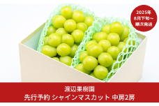 先行予約 中房シャインマスカット2房 (約1kg) [8月下旬から発送予定] 令和7年度 贈答用 シャインマスカット 新潟県 三条市産 ぶどう [渡辺果樹園] 【018S031】