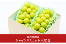 中房シャインマスカット2房 (約1kg) 令和7年度 贈答用 シャインマスカット 新潟県 三条市産 ぶどう [渡辺果樹園] 【018S031】