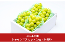 シャインマスカット2kg (3~5房) 令和7年度 贈答用 シャインマスカット 新潟県 三条市産 ぶどう [渡辺果樹園] 【034S008】