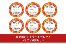 [季節限定]果樹園のジェラートセレクト [いちご6個セット] ストロベリー ジェラート詰合せ アイス詰合せ [田沢農園]  【010S300】