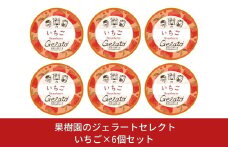 [季節限定]果樹園のジェラートセレクト [いちご6個セット] ストロベリー ジェラート詰合せ アイス詰合せ [田沢農園]  【010S300】