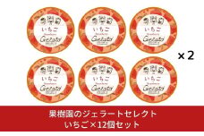 [季節限定]果樹園のジェラートセレクト [いちご12個セット] ストロベリー ジェラート詰合せ アイス詰合せ [田沢農園] 【019S044】