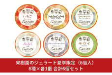 果樹園のジェラート夏季限定（6個入） [6種×各1個] 合計6個セット ジェラート詰合せ アイス詰合せ [田沢農園] 【010S341】