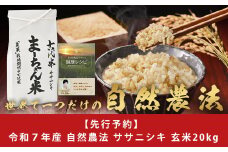 先行予約 新米 ササニシキ 玄米 20kg ま〜ちゃん米 令和7年産米 自然農法 無農薬 自然米 古代米【053S004】
