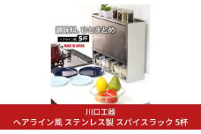 ヘアライン風 ステンレス製 スパイスラック 5杯 調味料入れ スパイスケース キッチンラック キッチン収納 キッチン用品 燕三条製 [川口工器] 【046S006】