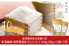 新潟越後 自然栽培米コシヒカリ 10kg（5kg×2袋） 数量限定 令和6年産米 2024年産米 こしひかり 有機JAS認証【031S010】