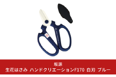 生花はさみ ハンドクリエーションF170 ブルー 花ハサミ 園芸ハサミ 生花用 園芸用品 ガーデニング用品 [坂源] 10000円以下 1万円以下 【010S375】