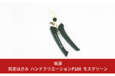 剪定はさみ ハンドクリエーションP180 モスグリーン 花ハサミ 園芸ハサミ 生花用 園芸用品 ガーデニング用品 [坂源] 10000円以下 1万円以下 【010S387】