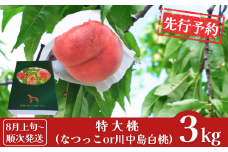 先行予約 特大桃 3kg (7～8個) [2025年発送分] 令和7年産 白桃 なつっこ 川中島白桃 新潟フルーツ 新潟県産桃 贈答用 [石田フルーツガーデン] 【022S054】