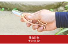 生花鋏 桜 燕三条製 宗家秀久 [外山刃物] 【022S059】