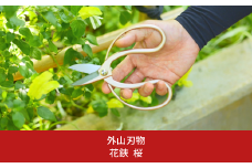花鋏 桜 燕三条製 宗家秀久 [外山刃物] 【022S060】