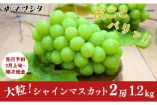 先行予約 シャインマスカット 2房 約1.2kg [9月上旬から発送予定] 令和7年度 新潟県 三条市産 ぶどう [マツシタ]【020S061】