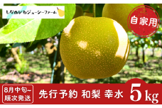 先行予約 和梨 幸水 自家用 約5kg [8月中旬から発送予定] 新潟県 三条市産 梨 訳あり [しなのがわジューシーファーム]【010S478】