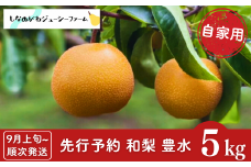 先行予約 和梨 豊水 自家用 約5kg [9月上旬から発送予定] 新潟県 三条市産 梨 [しなのがわジューシーファーム]【010S481】